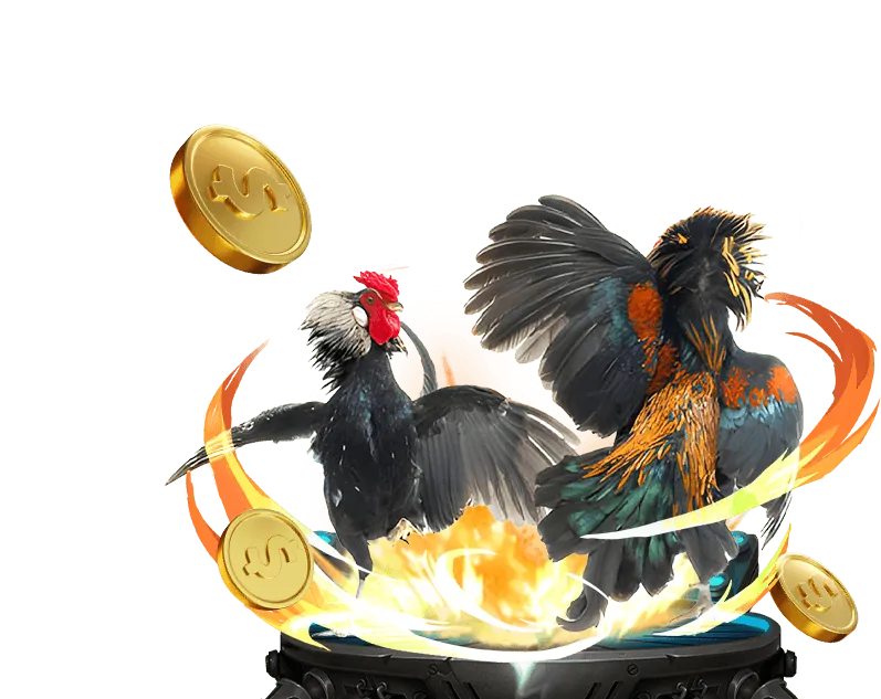 Hướng dẫn tham gia đá gà tại 98win58